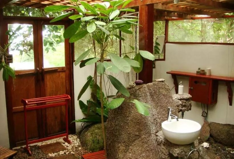 Fotos del hotel La Cigale:  4