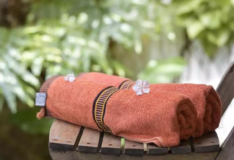 Fotos del hotel La Cigale:  10