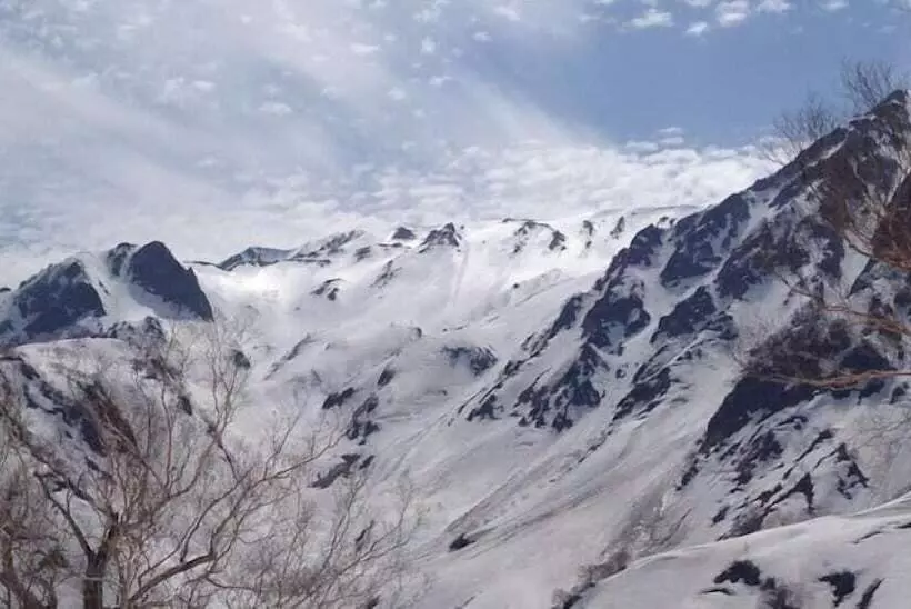 Fotos del hotel Il Bosco:  7