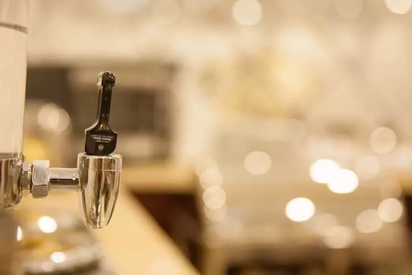 Fotos del hotel Spring Flower:  8