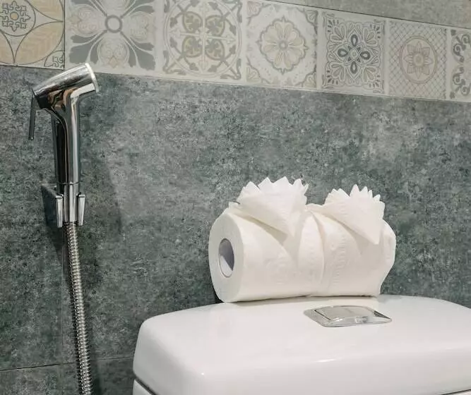 Fotos del hotel Spring Flower:  10