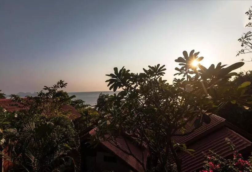 Fotos del hotel Zama Resort:  16