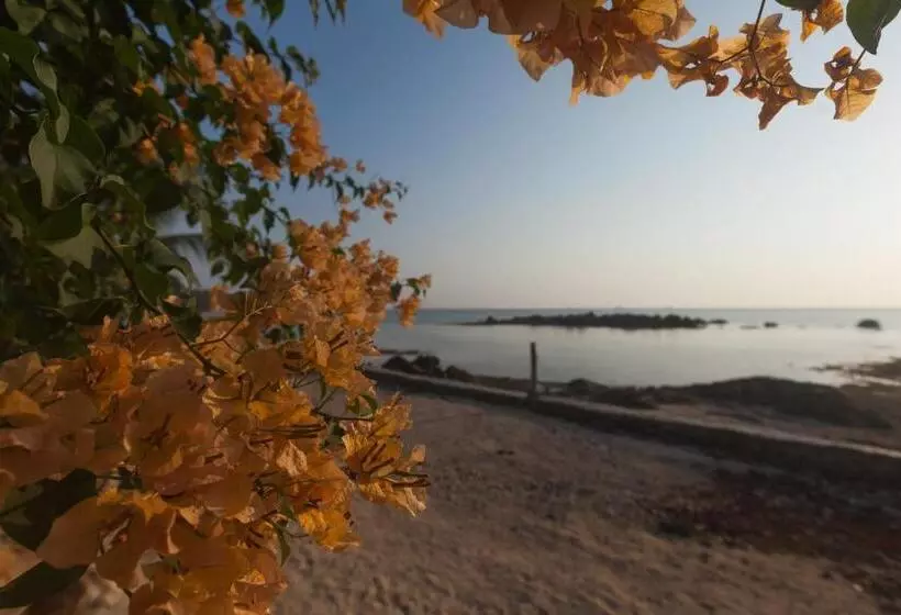 Fotos del hotel Zama Resort:  15