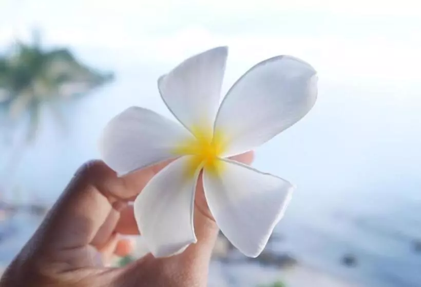 Fotos del hotel Zama Resort:  24