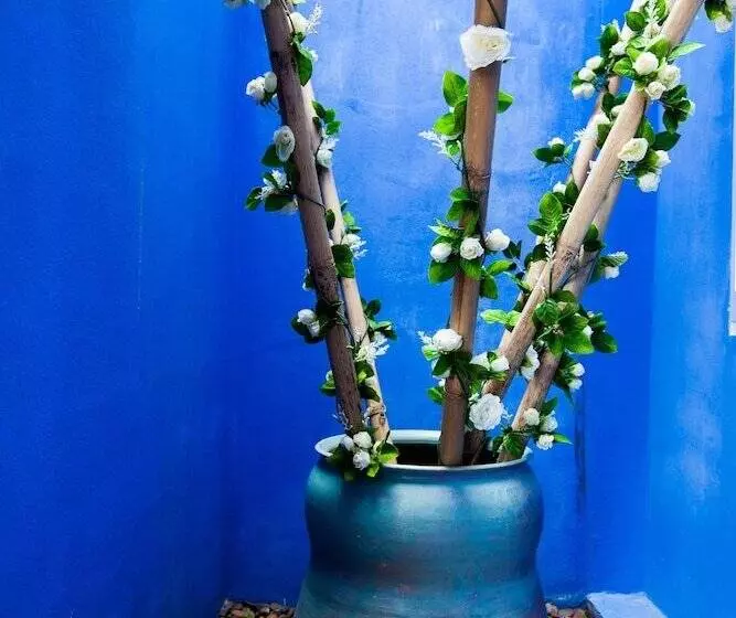 Fotos del hotel Amenity Apartel Samui:  8