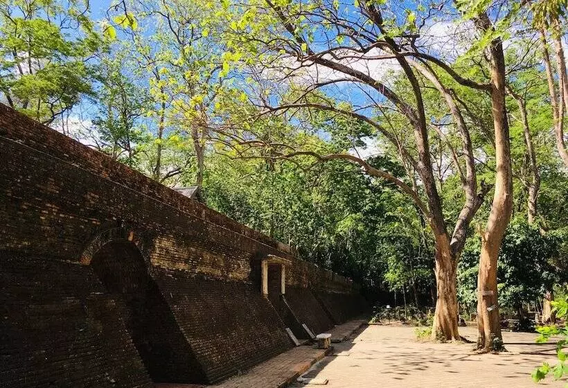 Fotos del hotel Miracle Boutique Chiang Mai:  7