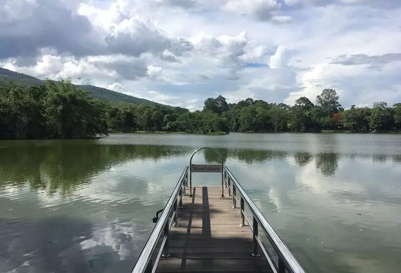 Fotos del hotel Miracle Boutique Chiang Mai:  12