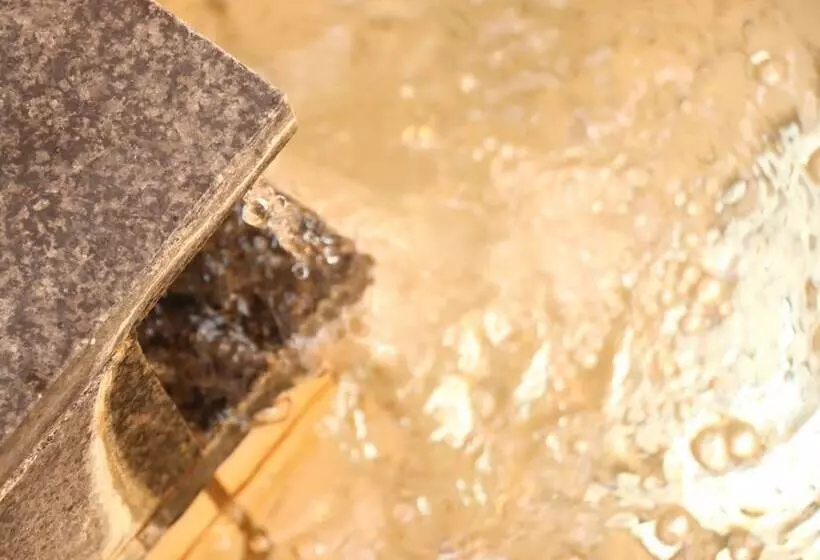 Fotos del hotel Spa Inn Oyado Iguchi:  23