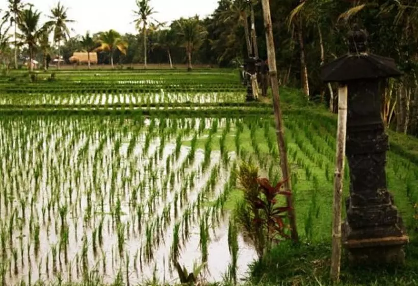 Fotos del hotel Villa Puri Darma Agung:  18