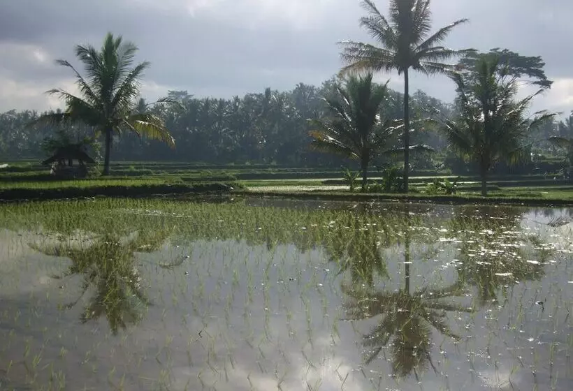 Fotos del hotel Villa Puri Darma Agung:  14