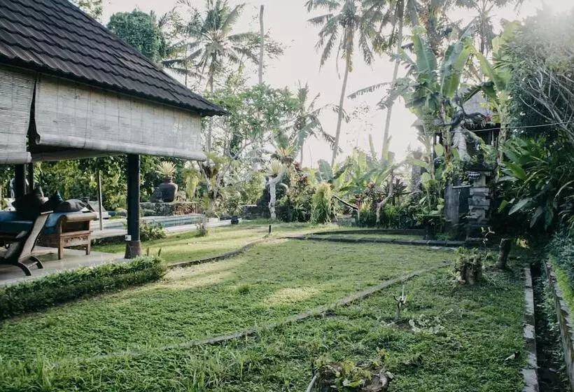 Fotos del hotel Villa Puri Darma Agung:  20