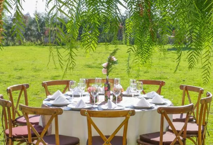 Fotos del hotel Alesia  Boutique & Spa:  7