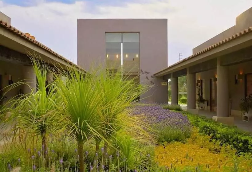 Fotos del hotel Alesia  Boutique & Spa:  15