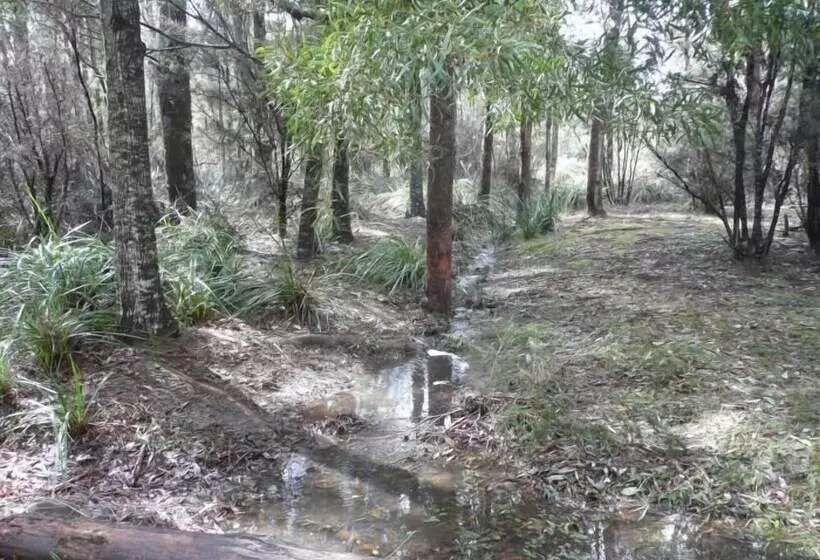 Fotos del hotel Taranna Cottages:  23