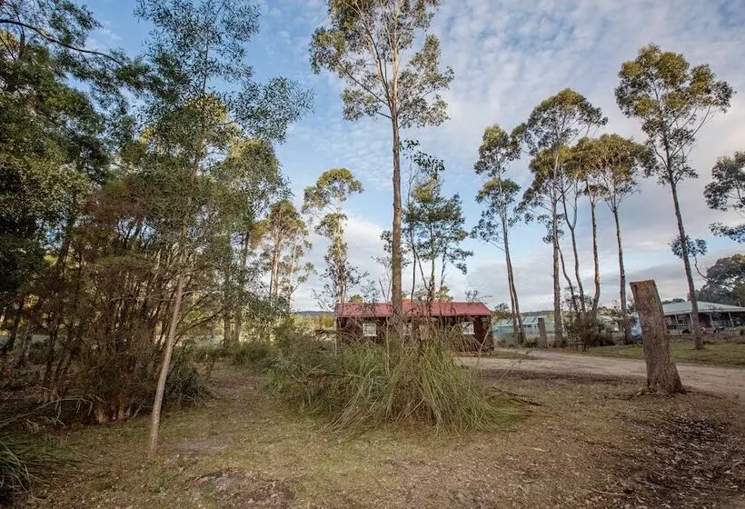 Fotos del hotel Taranna Cottages:  11