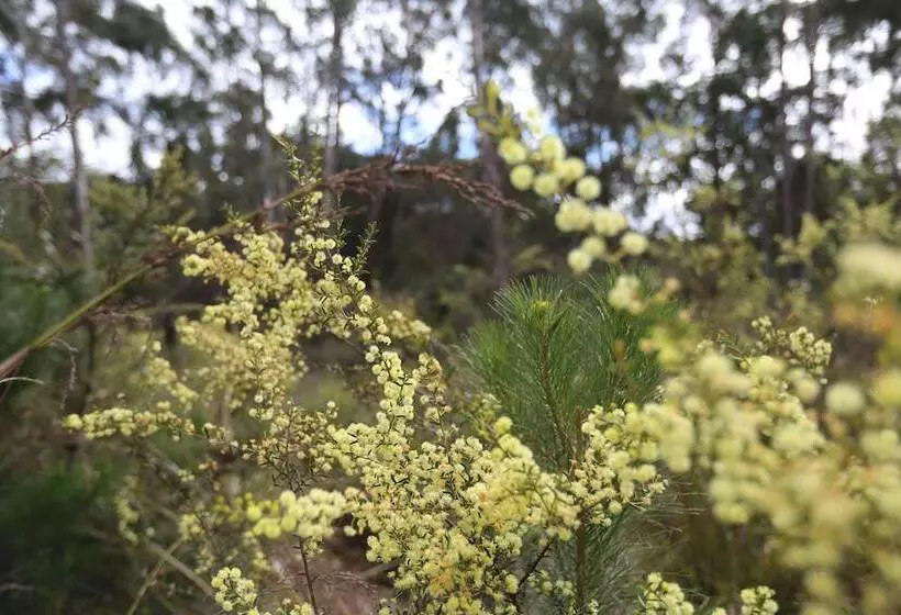 Fotos del hotel Taranna Cottages:  10