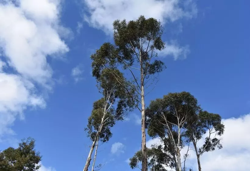 Fotos del hotel Taranna Cottages:  14