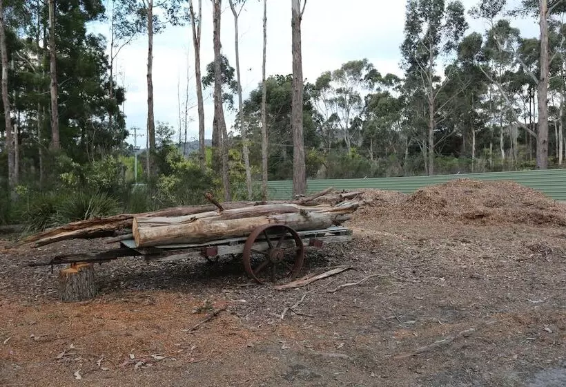 Fotos del hotel Taranna Cottages:  5