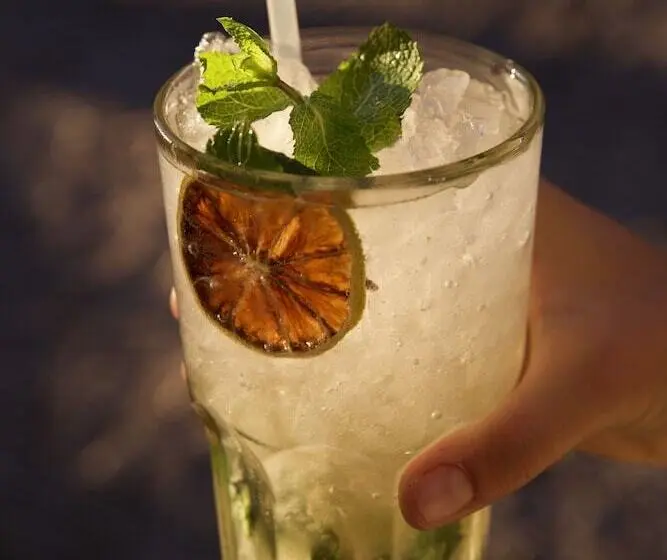 Fotos del hotel Domaine Gaogaia:  5