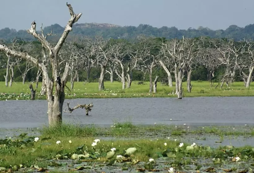 Fotos del hotel Nature Resort:  16