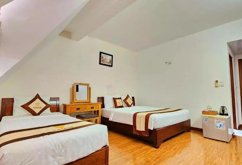 Fotos del hotel Venus Phu Quoc:  6