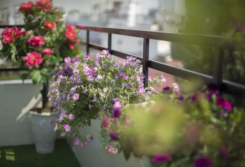 Fotos del hotel Hanoi Lotus Boutique:  8