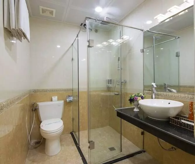 Fotos del hotel Hanoi Lotus Boutique:  17