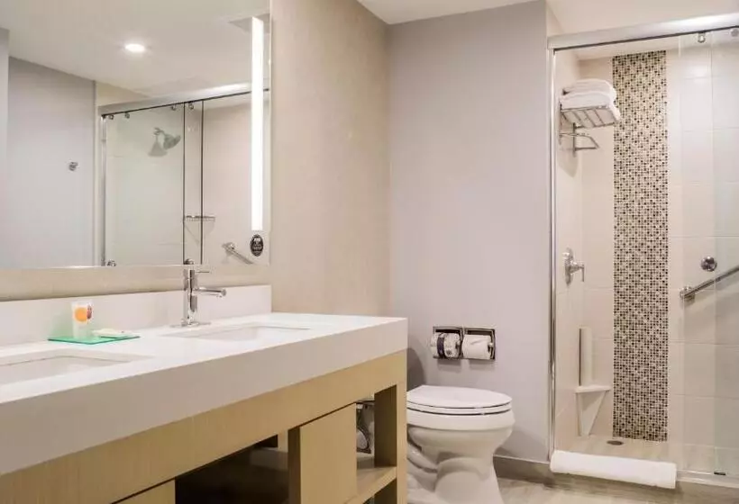 Fotos del hotel Hyatt Place Managua:  8