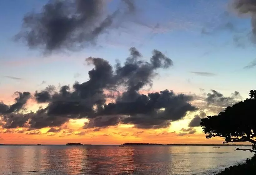 Fotos del hotel Little Italy:  7