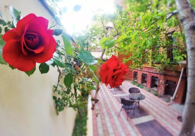 Fotos del hotel Ottoman S Pearl:  15