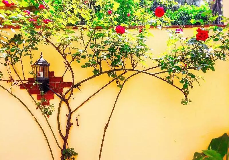 Fotos del hotel Ottoman S Pearl:  13