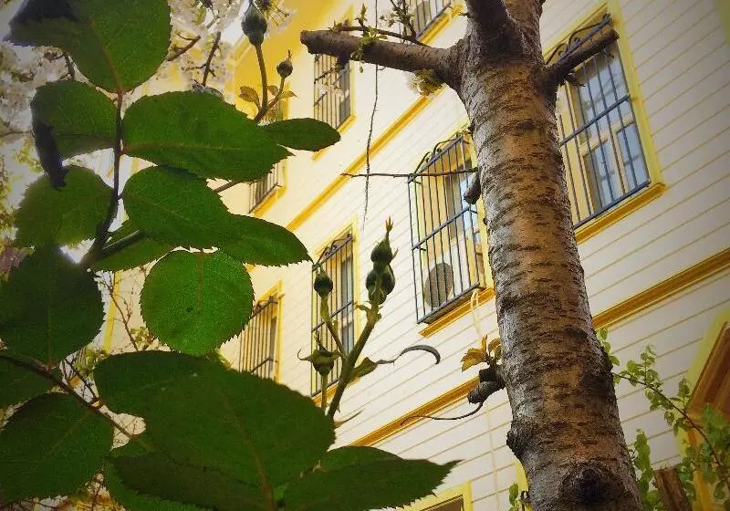 Fotos del hotel Ottoman S Pearl:  10