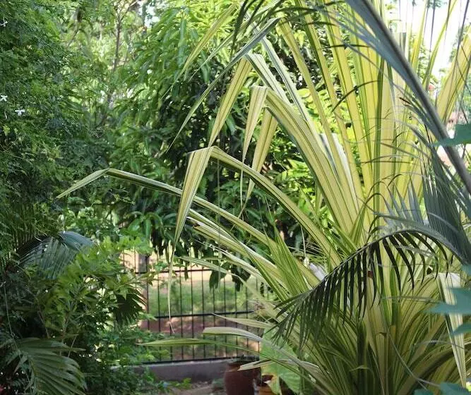 Fotos del hotel Villa Kapuru:  25