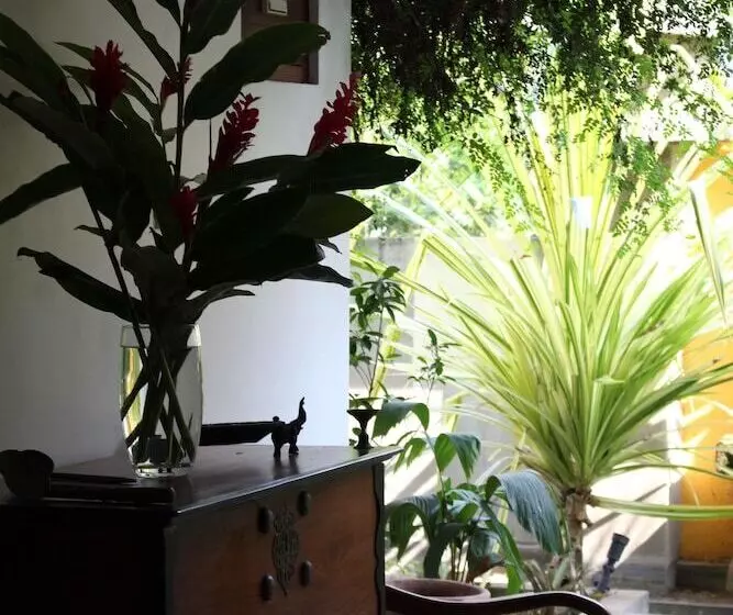 Fotos del hotel Villa Kapuru:  19