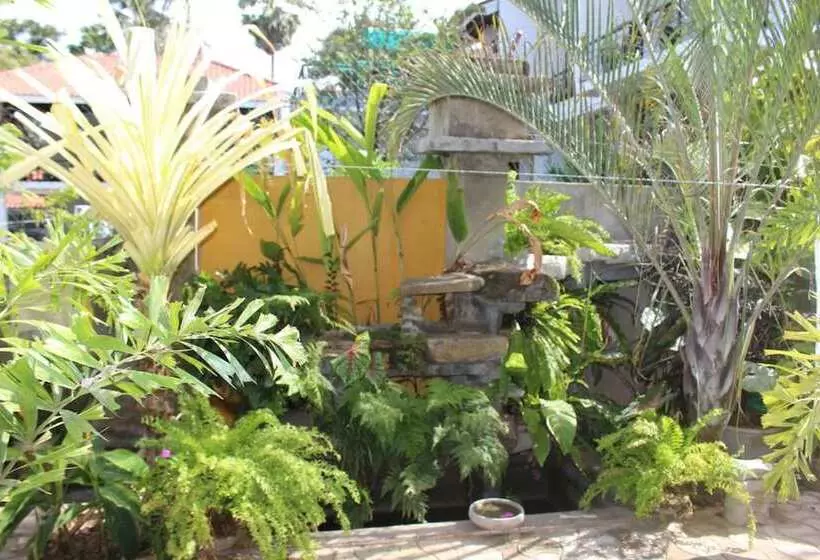 Fotos del hotel Villa Kapuru:  12