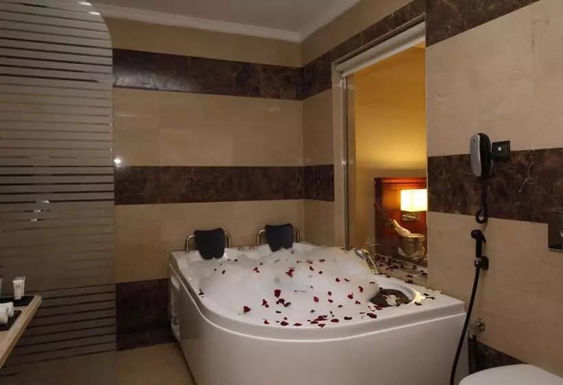 Fotos del hotel Grand Plaza Dhabab Riyadh:  47