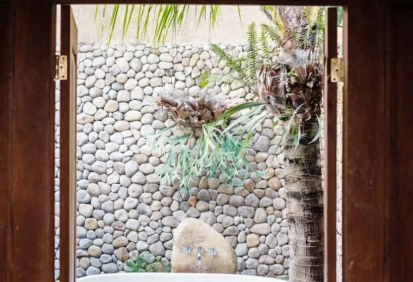 Fotos del hotel Kalapa Boutique Resort & Yoga:  18