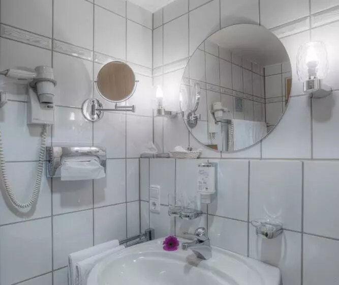 Fotos del hotel Paulin Hotel Trier:  6