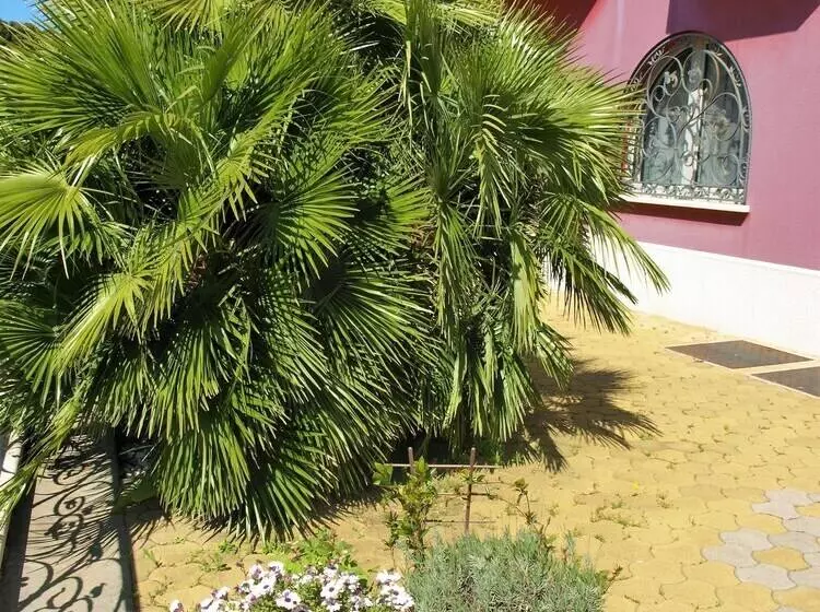 Fotos del hotel Villa Armin:  25