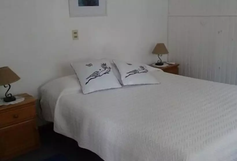 Fotos del hotel Posada De La Flor:  11