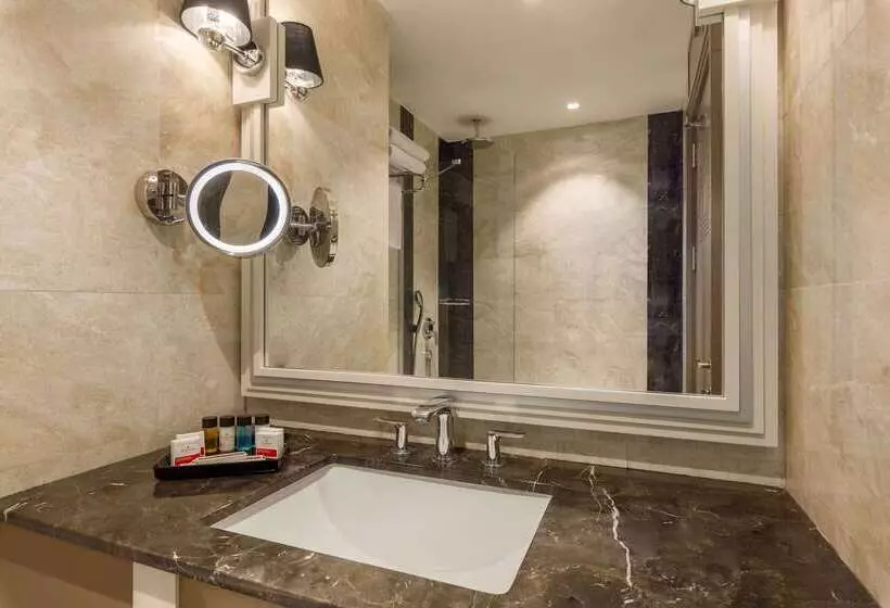 Fotos del hotel Ramada By Wyndham Istanbul Golden Horn:  6