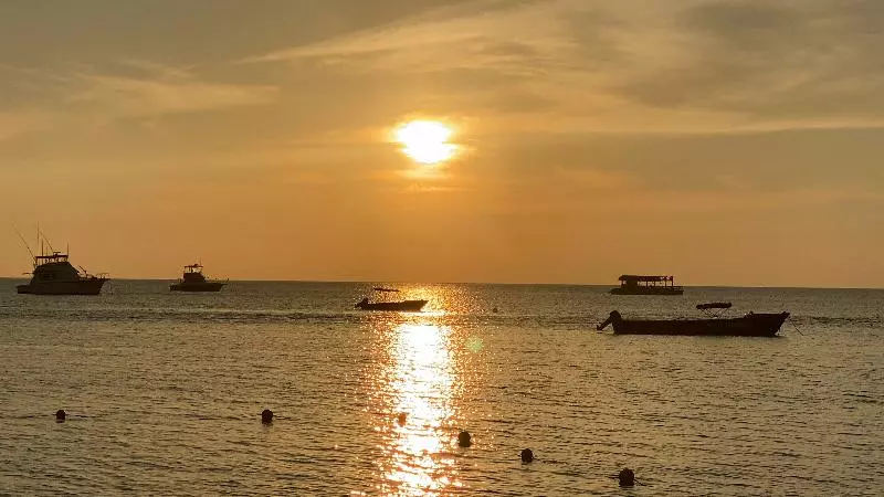 Fotos del hotel The Boardwalk Village:  5