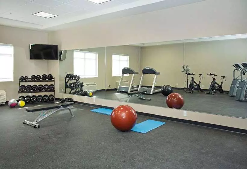 Fotos del hotel Wingate By Wyndham Calgary Airport:  3