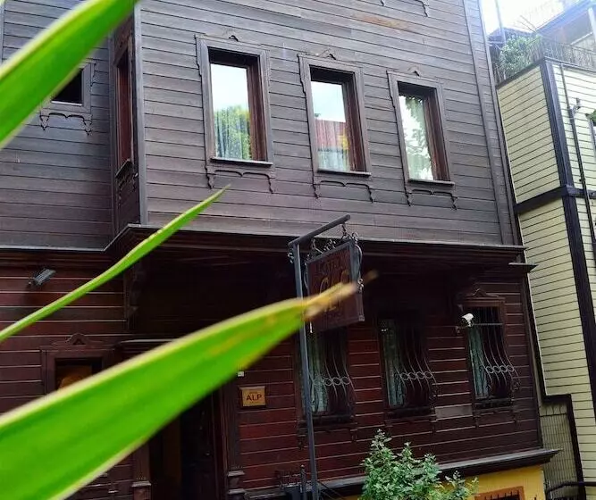 Fotos del hotel Alp Guesthouse:  7