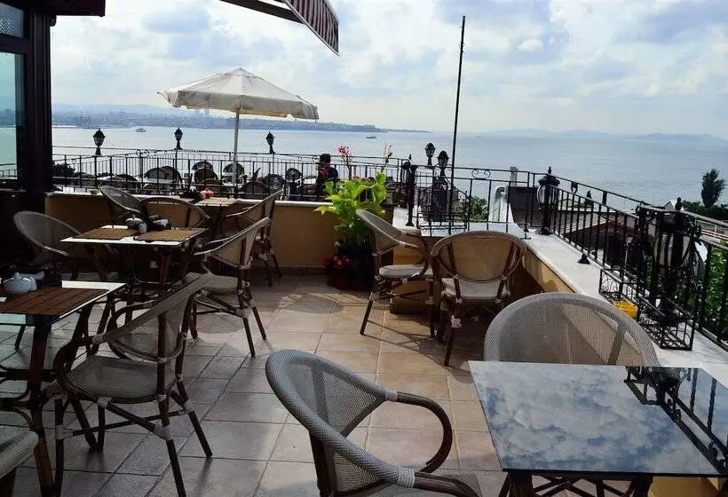 Fotos del hotel Alp Guesthouse:  9