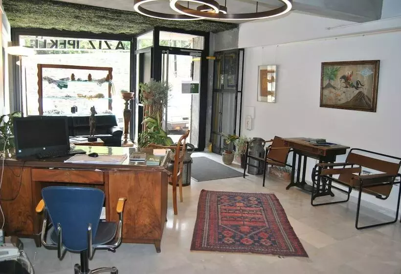 Fotos del hotel Numi:  13