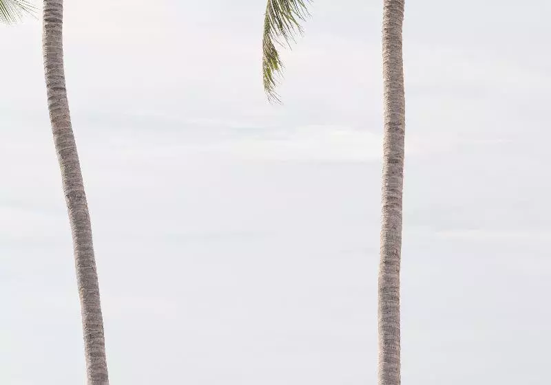 Fotos del hotel The Privilege  Ezra Beach Club:  20