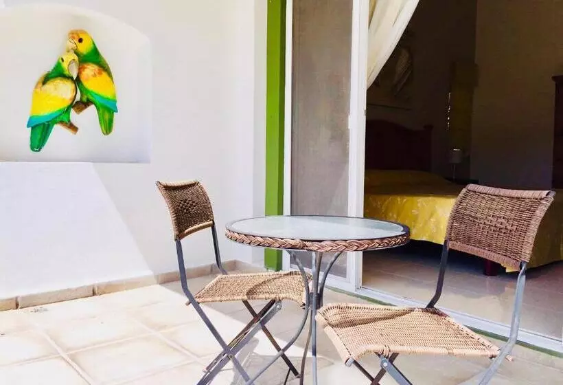 Fotos del hotel Dolce Vita Caribe B&B:  4