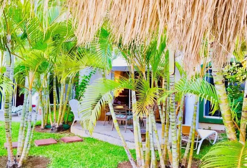 Fotos del hotel Dolce Vita Caribe B&B:  14