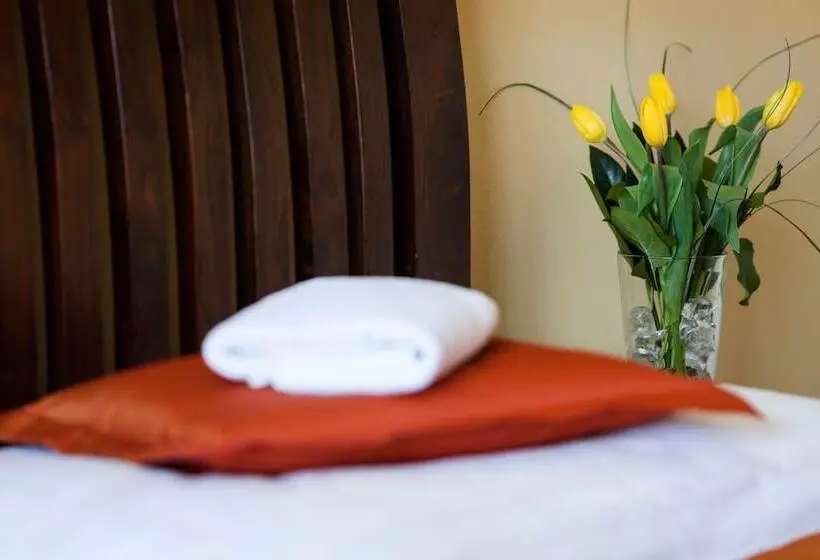 Fotos del hotel Penzion Drak:  8
